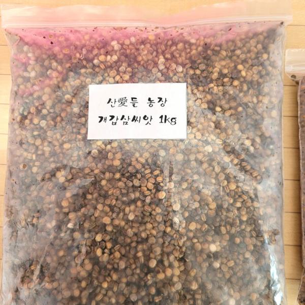 개갑 인삼씨앗 1kg / 장뇌삼씨앗 인삼씨앗 산삼 산양삼 묘삼 이미지