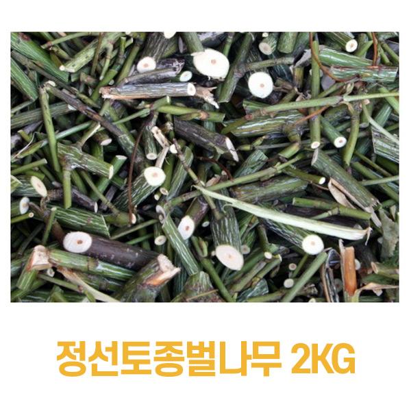 정선토종벌나무 최승영벌나무 2kg 이미지