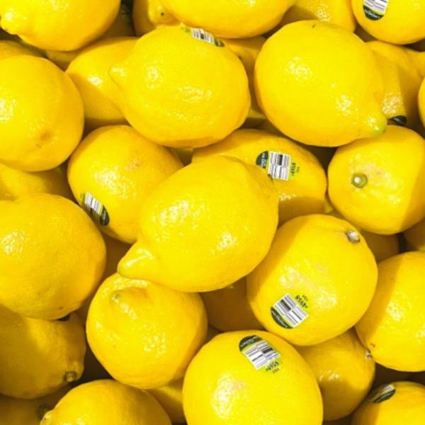 팬시 레몬 140과 17kg 중대과 이미지