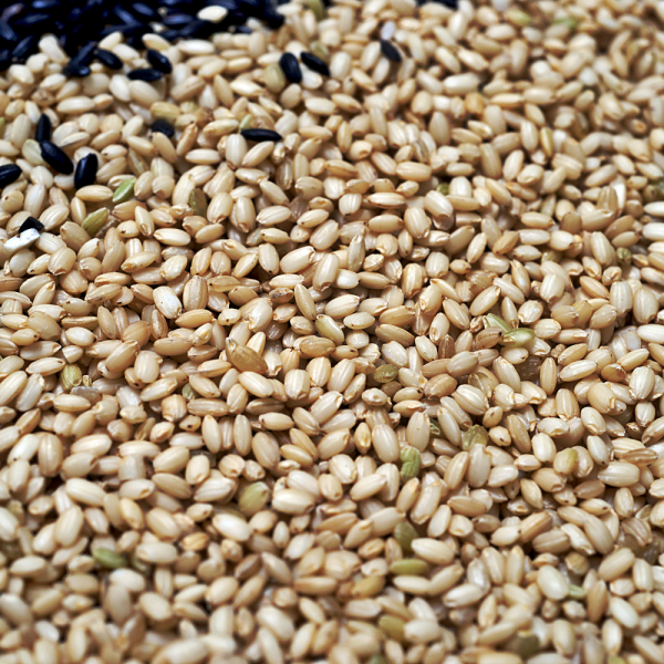 2023 햅쌀 땅끝해남 현미쌀 4kg(2kg 2개) 곡물 이미지